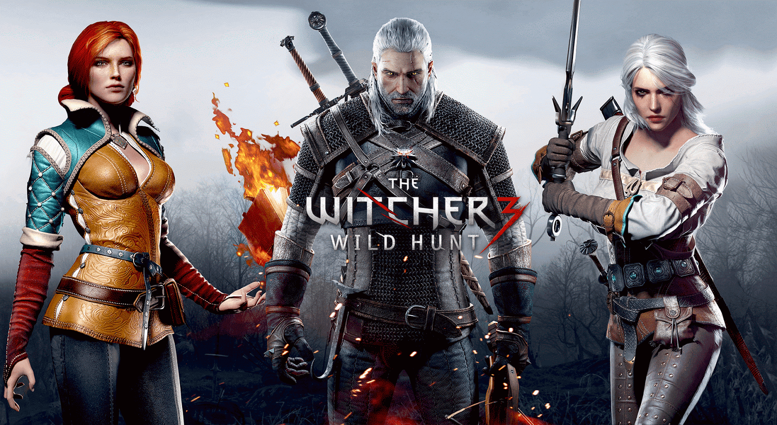 cheat codes for witcher 3